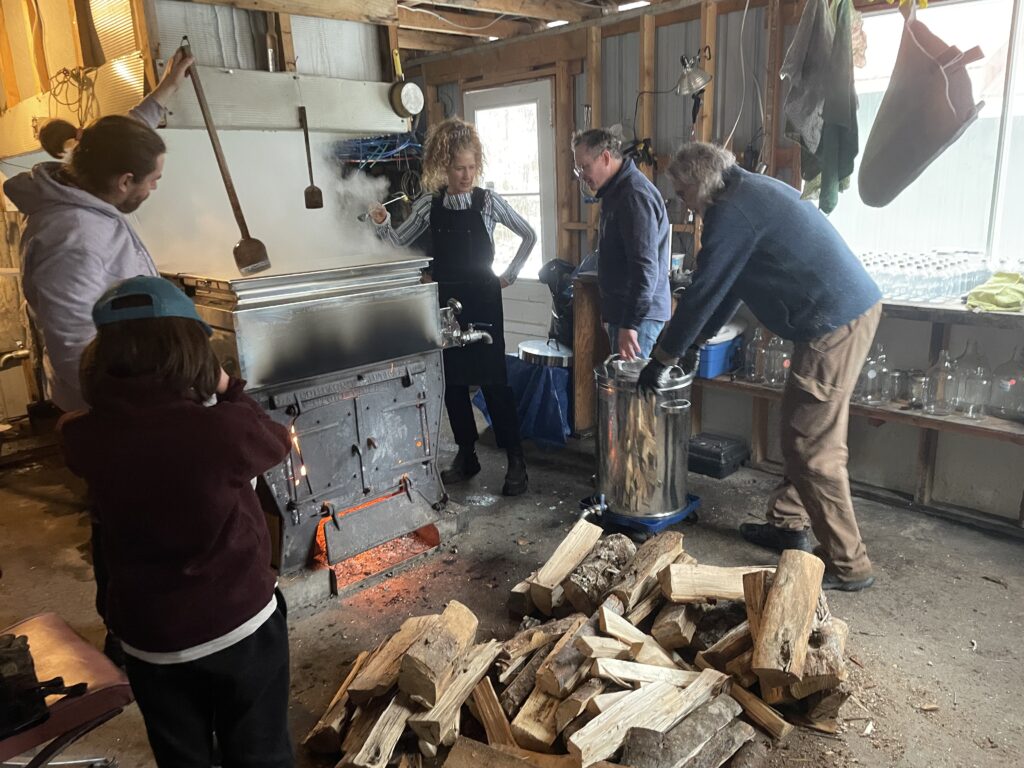 Distilling maple sap into maple syrup!
